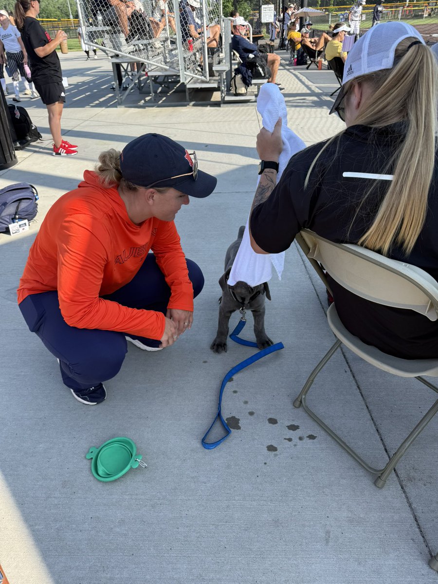 <a href="/s_lex23/">Coach Lex</a> <a href="/LindsayFico/">Lindsay Fico</a> Met a few more friends today!