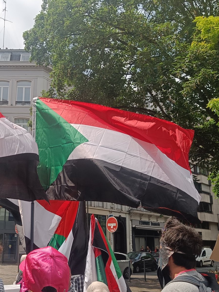 Face au silence assourdissant de la communauté internationale, nous ne pouvons rester inactifs. Mobilisation à Lille Mobilisons-nous contre le génocide en cours au #Soudan. L’humanité nous regarde. 🇸🇩