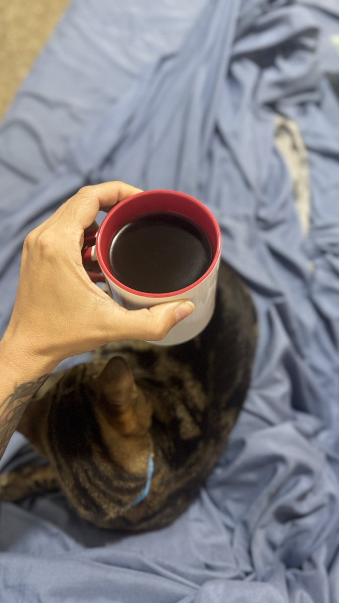 No es el huevo ni la gallina… primero es el café, porque sin café no hay discusión existencial que valga.
¿Cafecito? ☕️