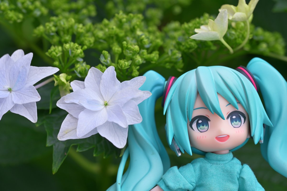 fusayan (@2384True2) / X