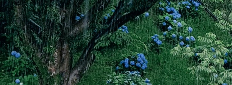 beeeee_nosuke's tweet photo. 🌧️🌧️🌧️ https://t.co/p7PUa1UWSe