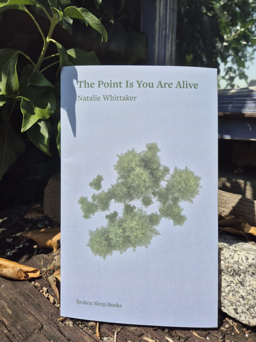 Natalie Whittaker (@natalie_poetry) on Twitter photo The earliest poem in this collection was written in 2012, the most recent in 2024... two pamphlets and twelve years later this book is in the world - The Point Is You Are Alive! <a href="/brokensleep/">Broken Sleep Books</a> The earliest poem in this collection was written in 2012, the most recent in 2024... two pamphlets and twelve years later this book is in the world - The Point Is You Are Alive! <a href="/brokensleep/">Broken Sleep Books</a>