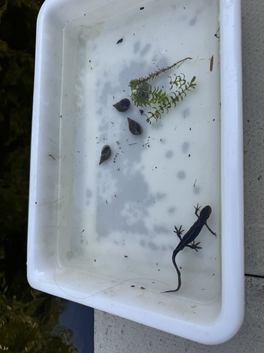 Science | Holyport College tweet media