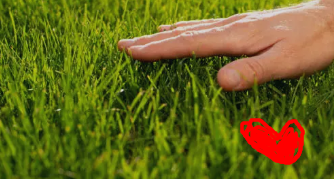 Messi | 🔫 StarMech tweet media