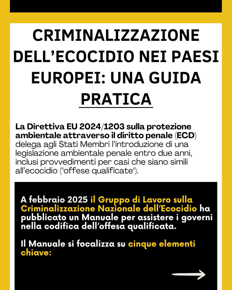 StopEcocidioIT's tweet photo. Una nuova scheda informativa presenta raccomandazioni di Ecocide Law Advisory per gli Stati che attuano la Direttiva sui Crimini Ambientali!
L’ECD include "reati qualificati" paragonabili all’#ecocidio. La scheda di @PromiseInstUCLA qui: https://t.co/Yu2bgdFLUC  
#StopEcocide https://t.co/e6WVSY24Sv