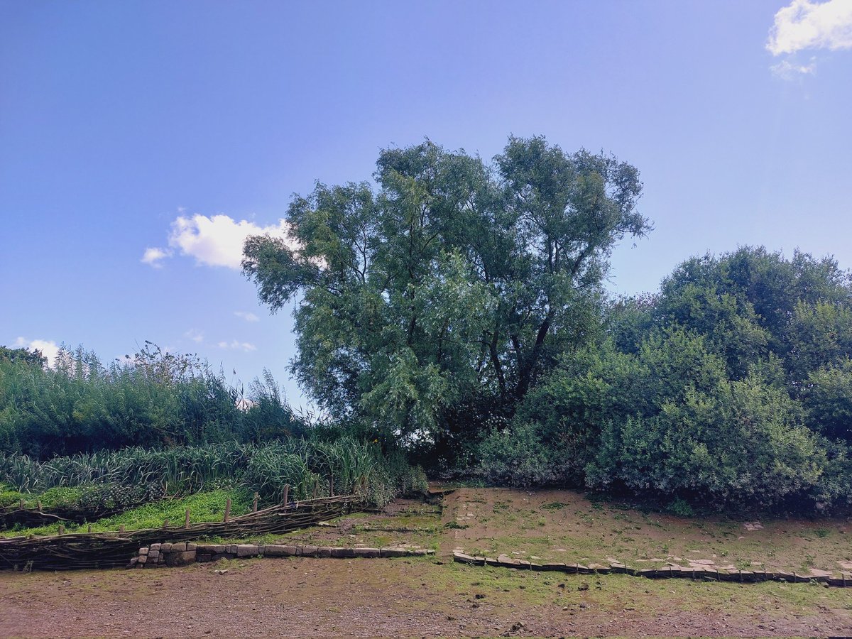 Helen’s journey (@followthethames) on Twitter photo Chiswick Eyot: removing Himalayan Balsam today, with <a href="/Thames21/">Thames21</a>. Thanks, <a href="/RoyalFamily/">The Royal Family</a>, for fab flypast right over us, from Trooping the Colour! <a href="/Trooping/">Trooping the Colour</a> #TroopingTheColour #Royals #KingCharlesIII #environment #thames #gardening Chiswick Eyot: removing Himalayan Balsam today, with <a href="/Thames21/">Thames21</a>. Thanks, <a href="/RoyalFamily/">The Royal Family</a>, for fab flypast right over us, from Trooping the Colour! <a href="/Trooping/">Trooping the Colour</a> #TroopingTheColour #Royals #KingCharlesIII #environment #thames #gardening