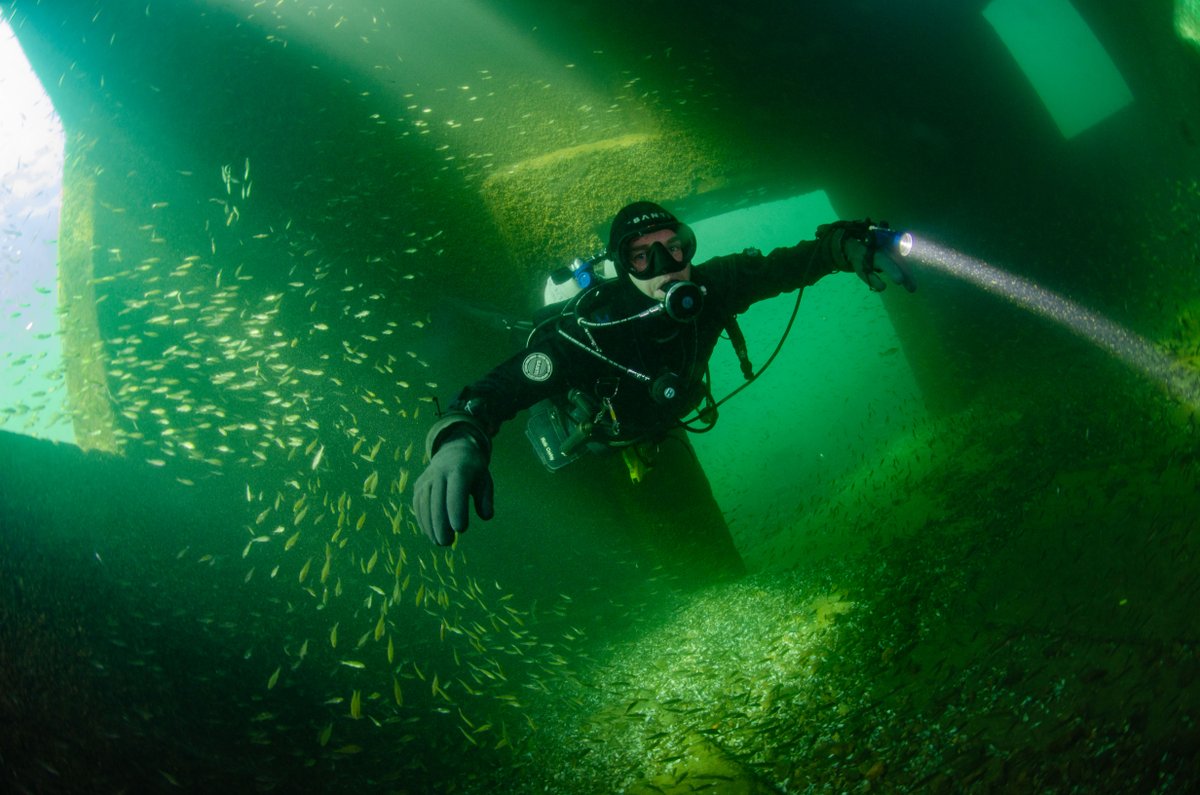 InDepth_Mag's tweet photo. ⚠️ Tech divers: Want your next dive to mean more?
Europe’s native crayfish is vanishing fast. UK divers are fighting back—surveying, monitoring, conserving. 💥
🧭 Read &amp; subscribe: https://t.co/OXndMHRTSx

#TechnicalDiving #CrayfishConservation #InDepthMag #indepth https://t.co/k2ncRv2315