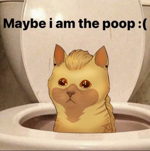 I just received Spell of falling in the toilet from starlitesparkl3 via Throne. Thank you! throne.com/hozzerino #Wishlist #Throne