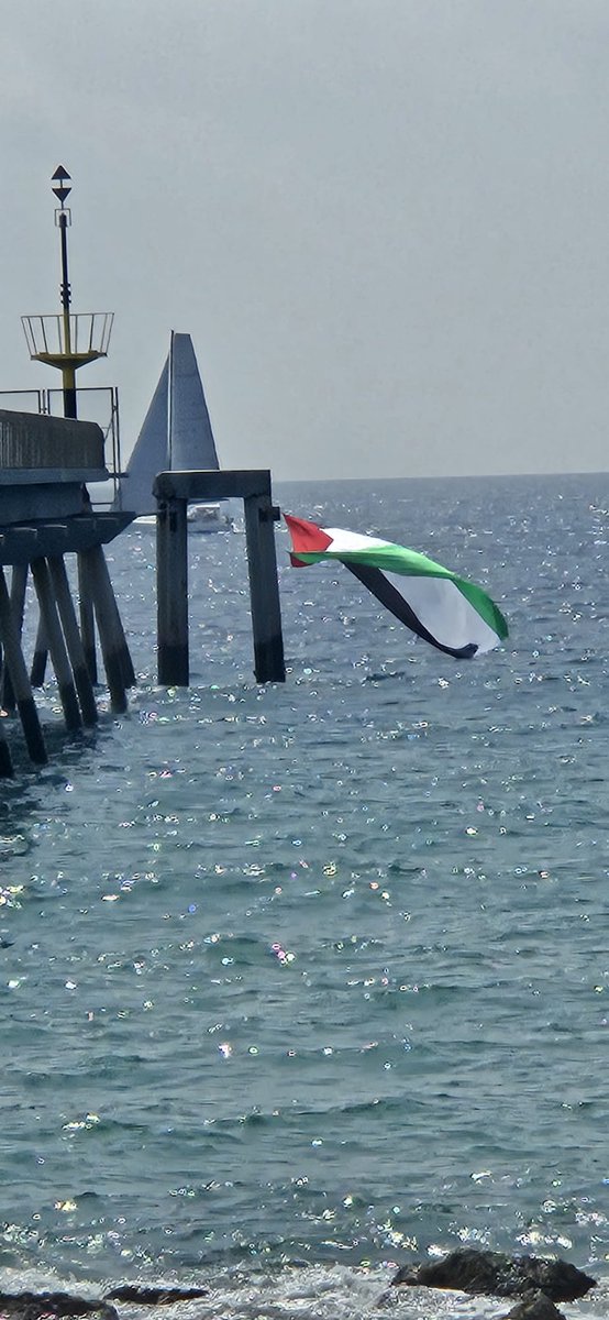 Badalona Acull tweet media