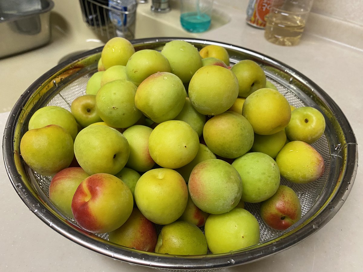 焔愛 (えんまな)は社畜！ (@hime_0401) on Twitter photo 