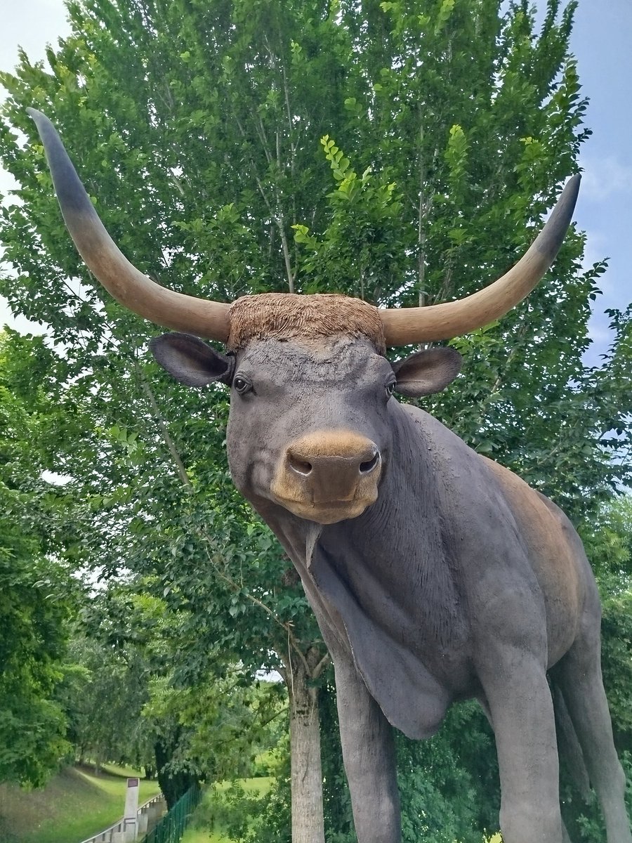 Inauguration du nouvel animal totem du Jardin archéologique de Saint-Acheul par <a href="/pierresavreux/">Pierre Savreux 🇫🇷🇪🇺🇺🇦</a> à l'occasion des Journées européennes de l'archéologie.
<a href="/AmiensMetropole/">Amiens Métropole - Ville d’Amiens</a>