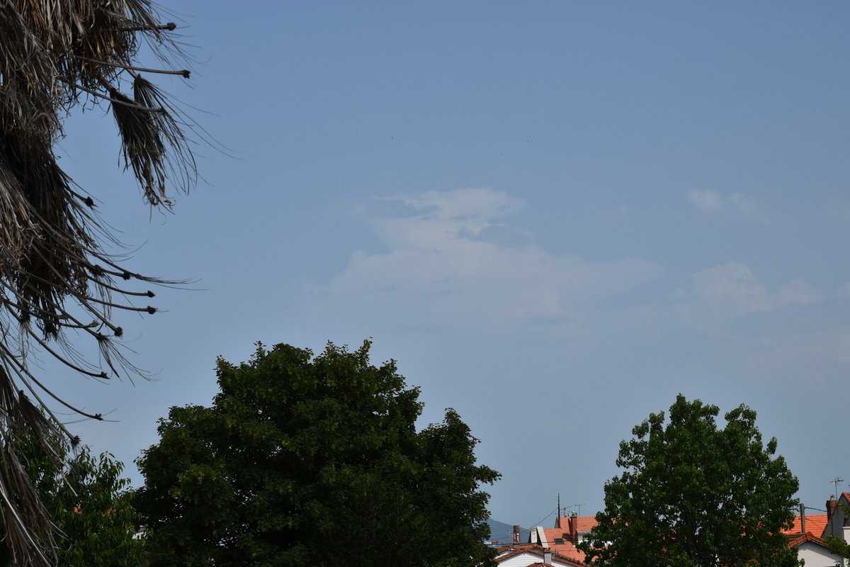 16h : aucune cellule orageuse pour l'instant sur la région d'après le radar, juste ce petit cumulonimbus près des monts du Forez. D'autre part, des cumulus bourgeonnants arrivent par le SO. Cela dit, et on l'a vu ces derniers jours, ça peut aller très vite ⚠️🌩️