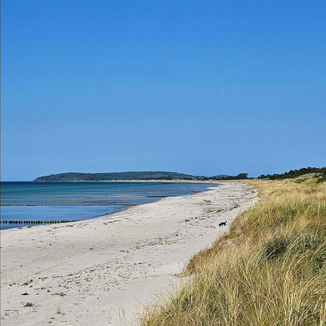 Der Strand hat angerufen und gefragt, wo ihr bleibt? 🏖️🌊 Wie lange muss er noch auf euch warten?

#hiddensee #strandliebe #strandspaziergang #strand #ostseestrand #hiddenseelovers #inselhiddensee #ostseeliebe #ostsee #ostseeliebe⚓️ #sommer #meerliebe #meerweh
