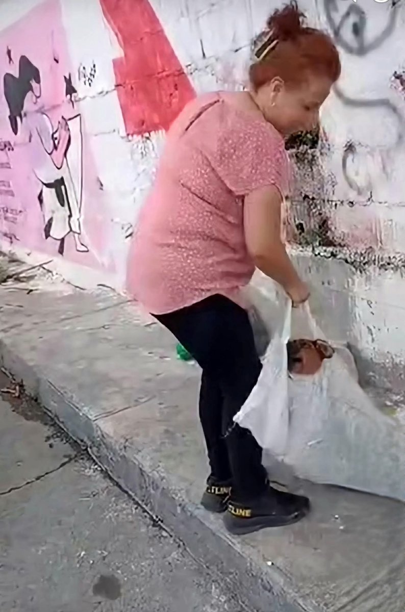 LicAnimalista's tweet photo. Está tipa en Nuevo León abandono tres perritos en costales, huyó del lugar,  no se podrá proceder ya que no es delito. El abandono de animales es una conducta miserable y los responsables verdaderos criminales, debería ser un delito en todo México. @Mx_Diputados @senadomexicano https://t.co/f7uj9wcitq