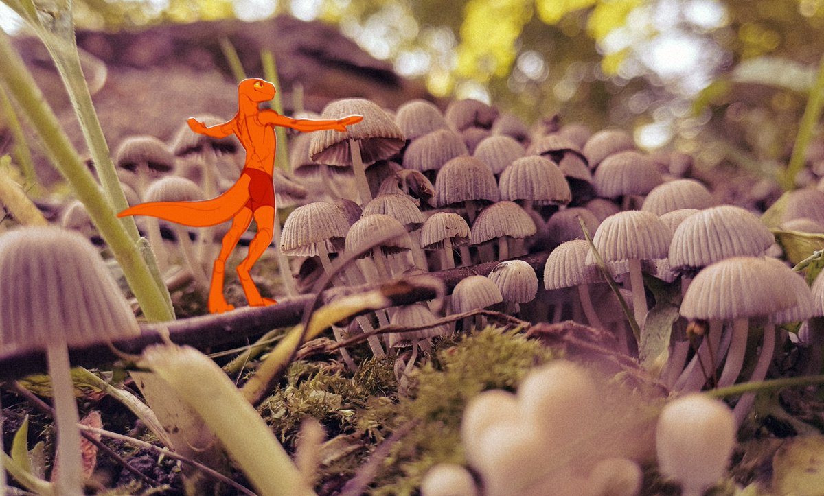 Took a picture of some mushrooms and of course I had to add Iggy there