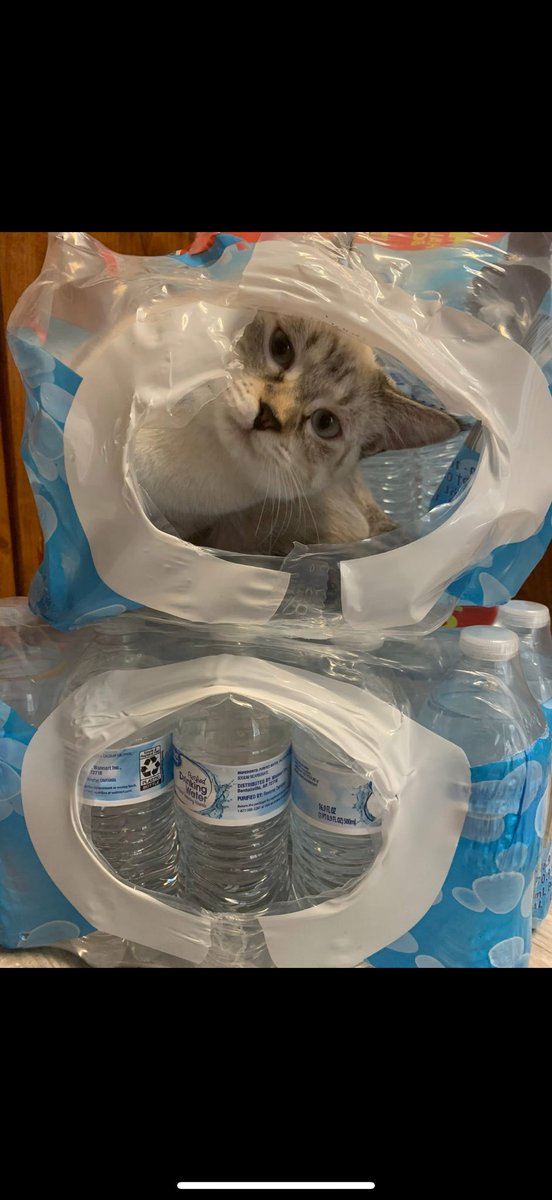 RHCP_Fan99's tweet image. Besides going through my mental episodes and what not . My daughter turned 5 today!!