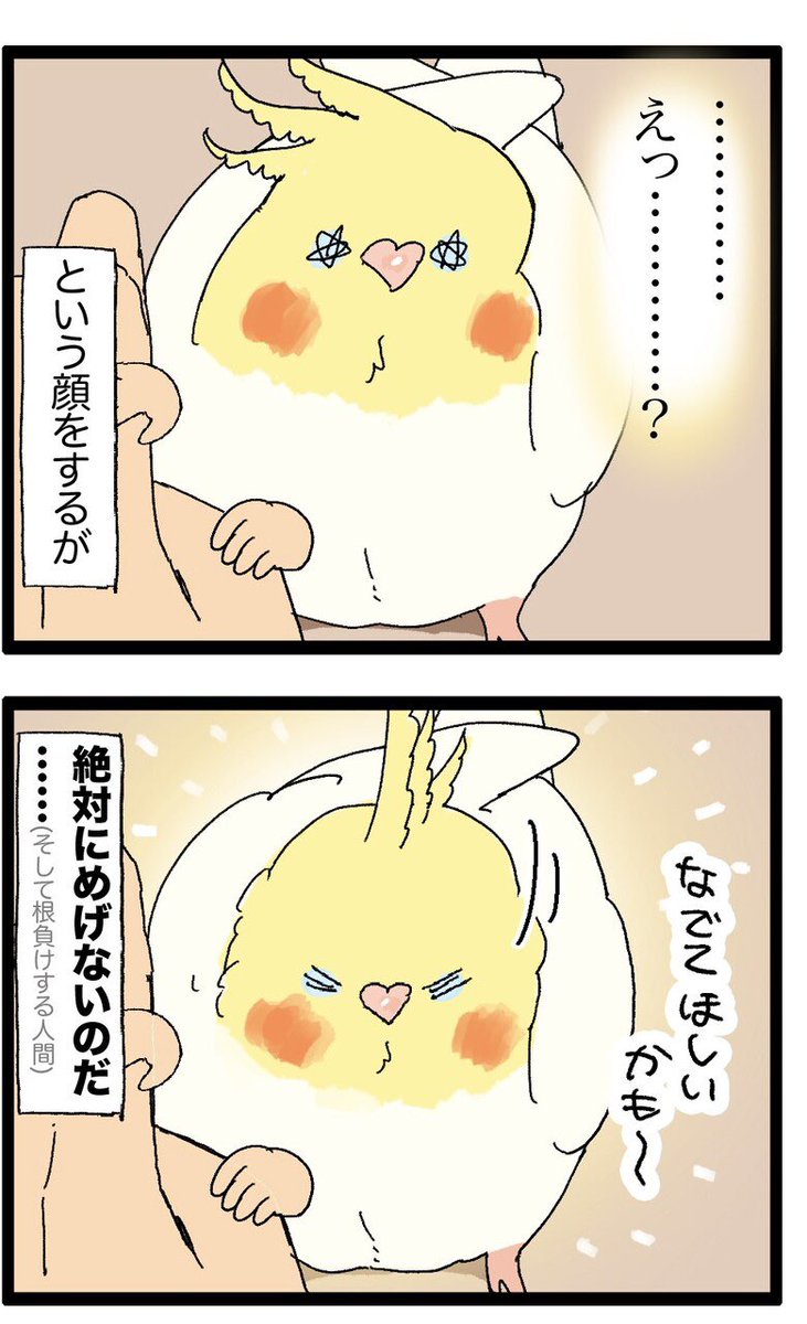 インコちゃんのカキカキしてアピール、たまに意地悪したくなっちゃう😚

2110 #えるポピの絵日記かくところ 
