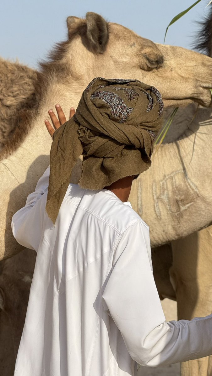 لكِ بالـحشىّ روحٍ تحبـك وتـغليّك ♡.