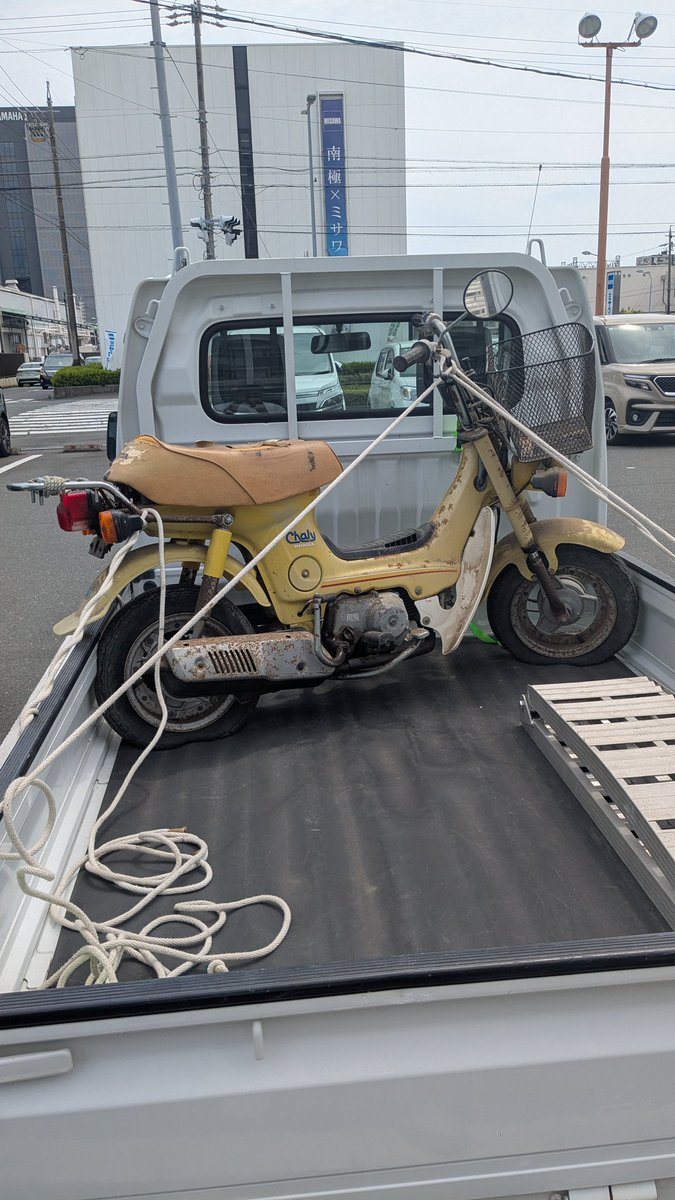 新しいおもちゃ