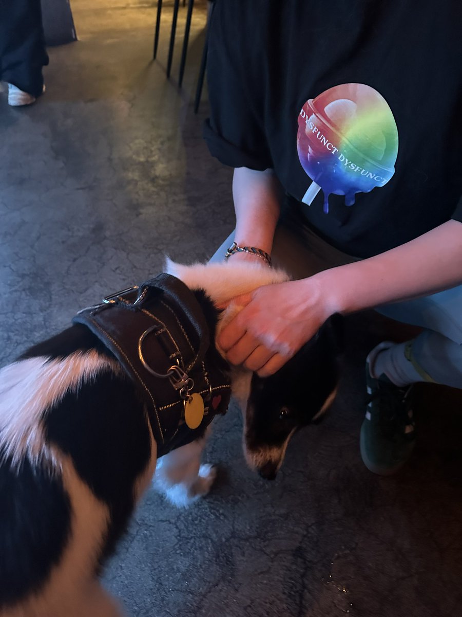 saekdareun1's tweet image. 털친구들도 안녕