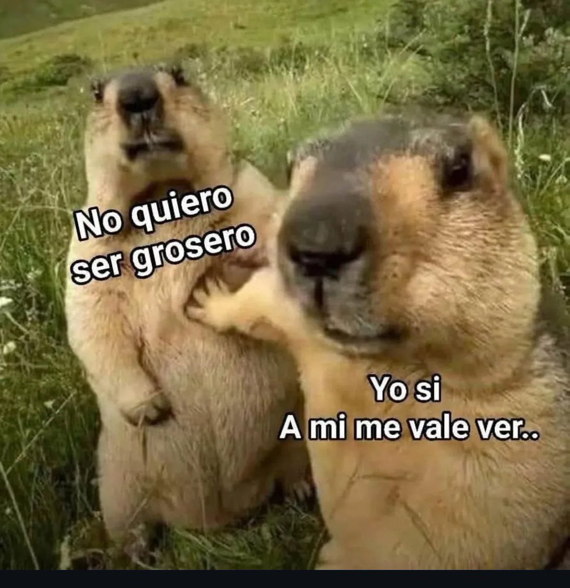 caramjose's tweet image. Mi Compa bien mesurado, yo sin filtro alguno 🙄