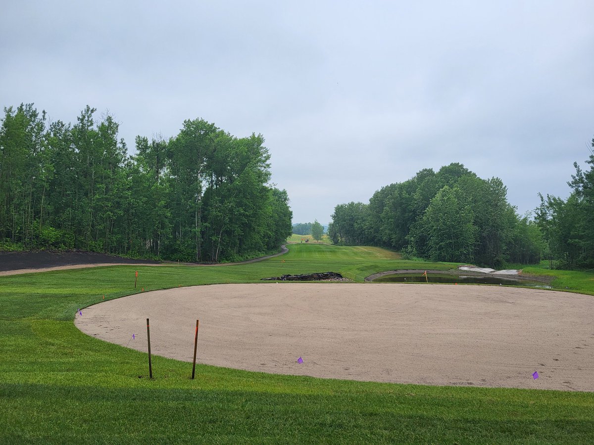 Steven Levesque tweet media