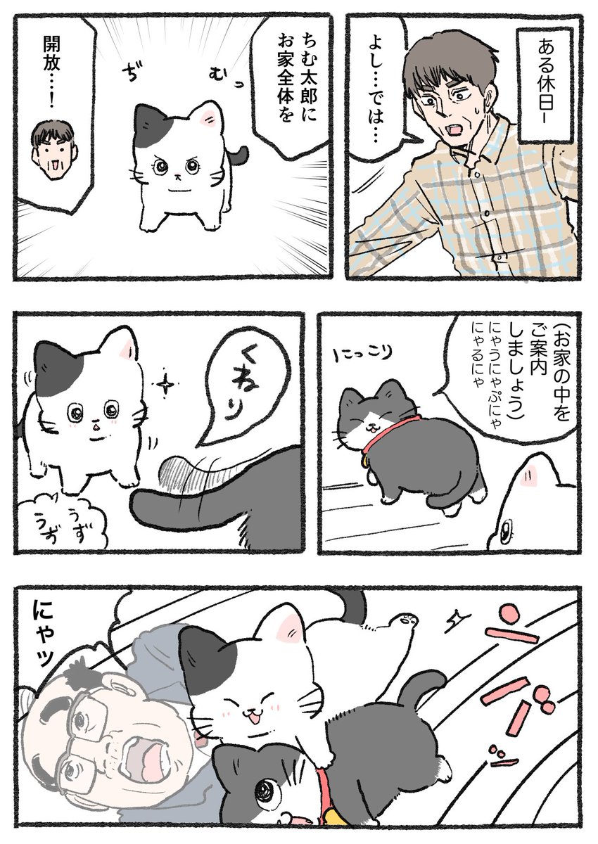 ねこに転生したおじさん。その736