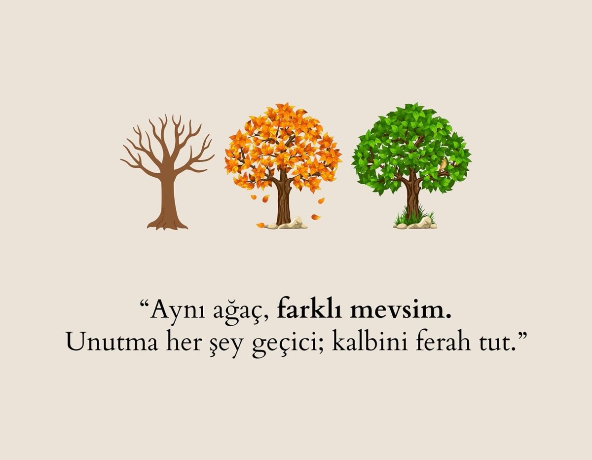 Monna Rosa (@ayaserenat) on Twitter photo 