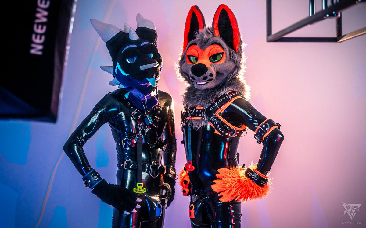 Shiny mischief is going to happen you can’t stop us 😈

🐲: <a href="/Lean_theDragon/">𝕷𝖊𝖆𝖓 𝕭𝖊𝖆𝖓</a> 
📸: <a href="/Kavaeric/">Kavaeric</a> 

#SQUEAKYSATURDAY