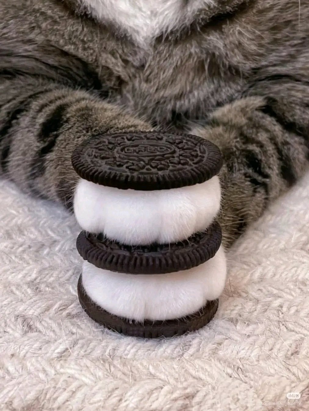 ⭐️OREO⭐︎ページ OREO Golden Sandwich Cookies, Limited Easter Egg Edition