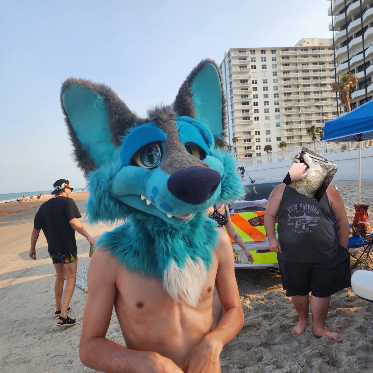 Getting sand in my fur that i WILL be shaking onto your floor later 🌊