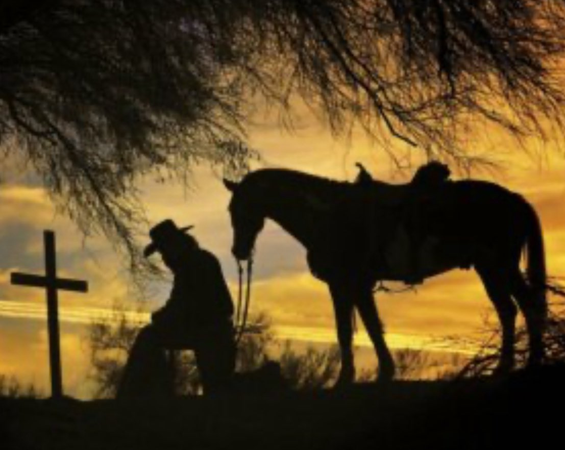 Raddy McRaderton, 🇺🇸☘️🥷🏻 tweet media