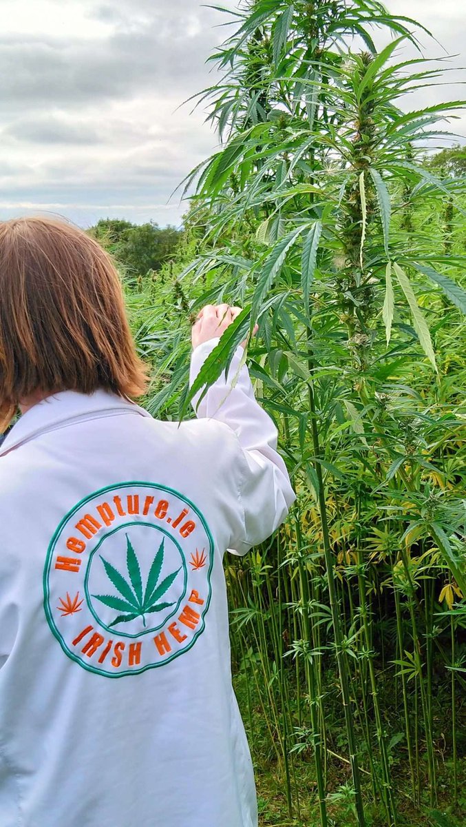 Our facility will close for summer holidays for a well deserved break. We are closed from 14th – 26th June. Shipping will recommence on the 27th June. 

More: hempture.ie/summer-holiday…