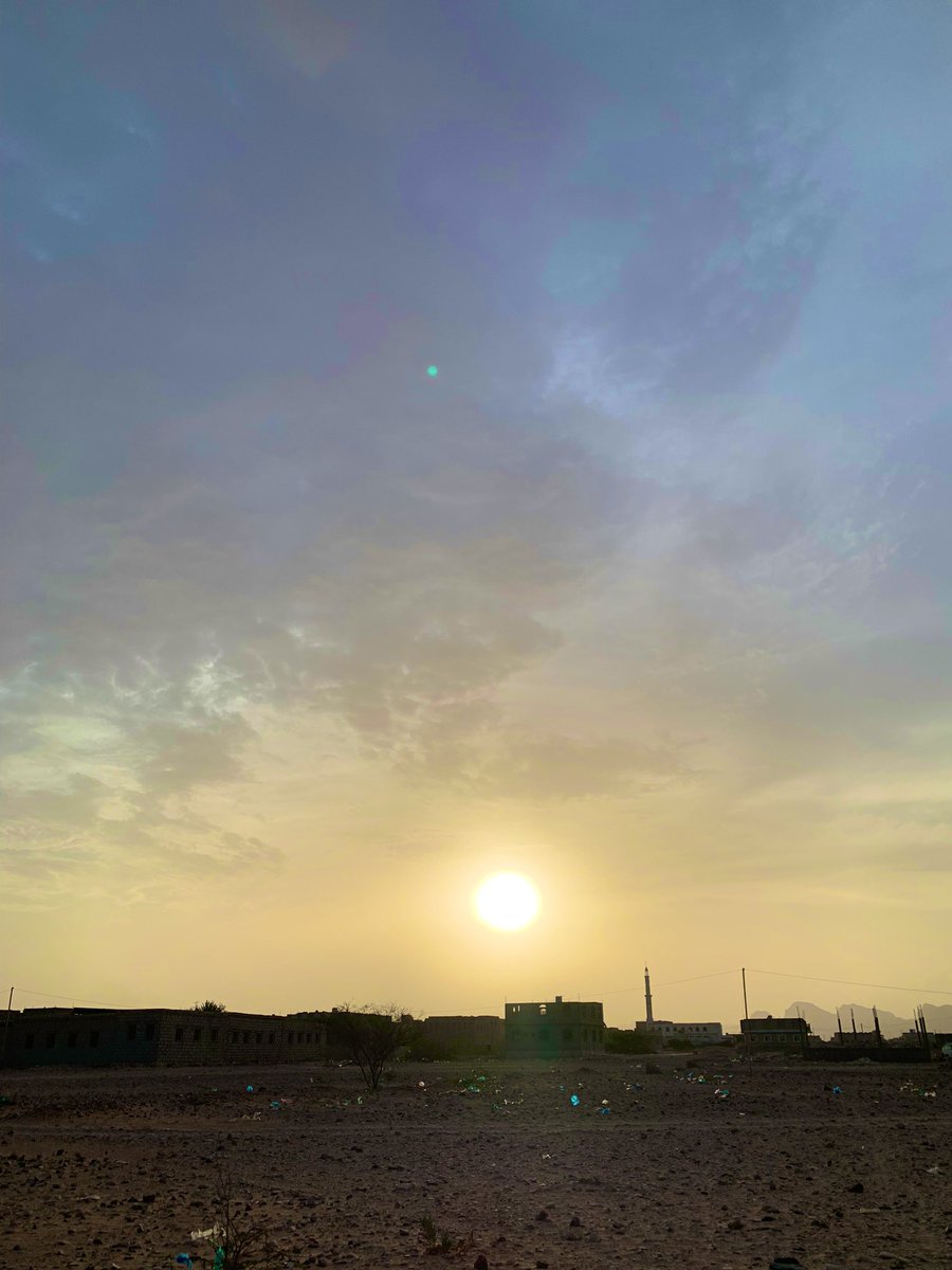 بسمة أمل 🇵🇸 tweet media