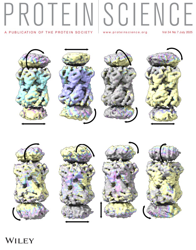 LisandroHOtero1's tweet image. Delighted to share that our cryo-EM work with @inmunova on engineered immunogens capable of eliciting neutralizing antibodies against hemolytic uremic syndrome is featured on the cover of Protein Science!
🔗 doi.org/10.1002/pro.70…