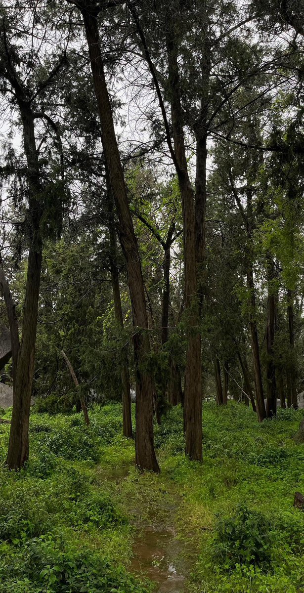 روضــــة🩺💉 tweet media