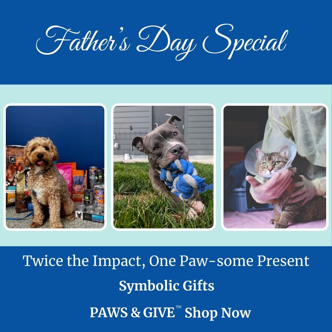 Still shopping for Father’s Day? 🐾 Paws &amp; Give™ gifts are the purr-fect way to honour the animal lover in your life. From pet food to urgent care, each gift helps animals in need and celebrates someone special. Give twice—shop now: bit.ly/3HAyfg0