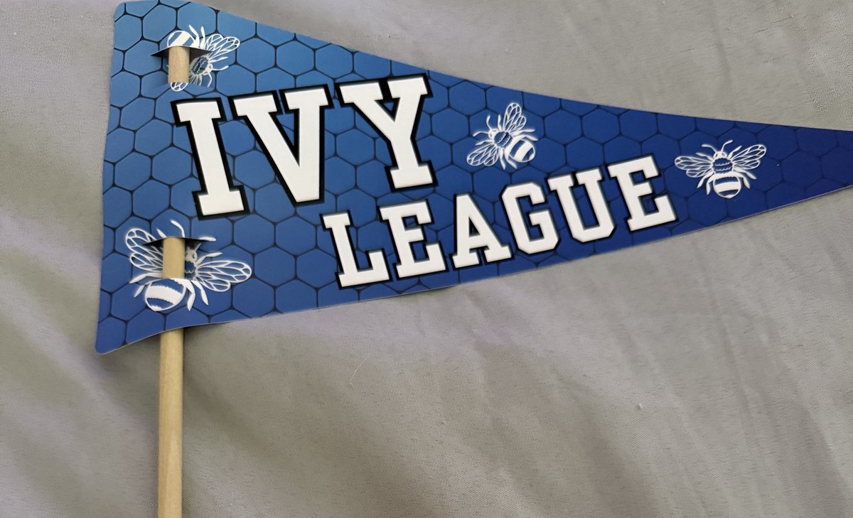 jourdanzz's tweet photo. ITS HERE!!!!

Thank you so so much, @justshannon_rn🫂💙 #IVLEAGUE https://t.co/GOLF6Np8xx