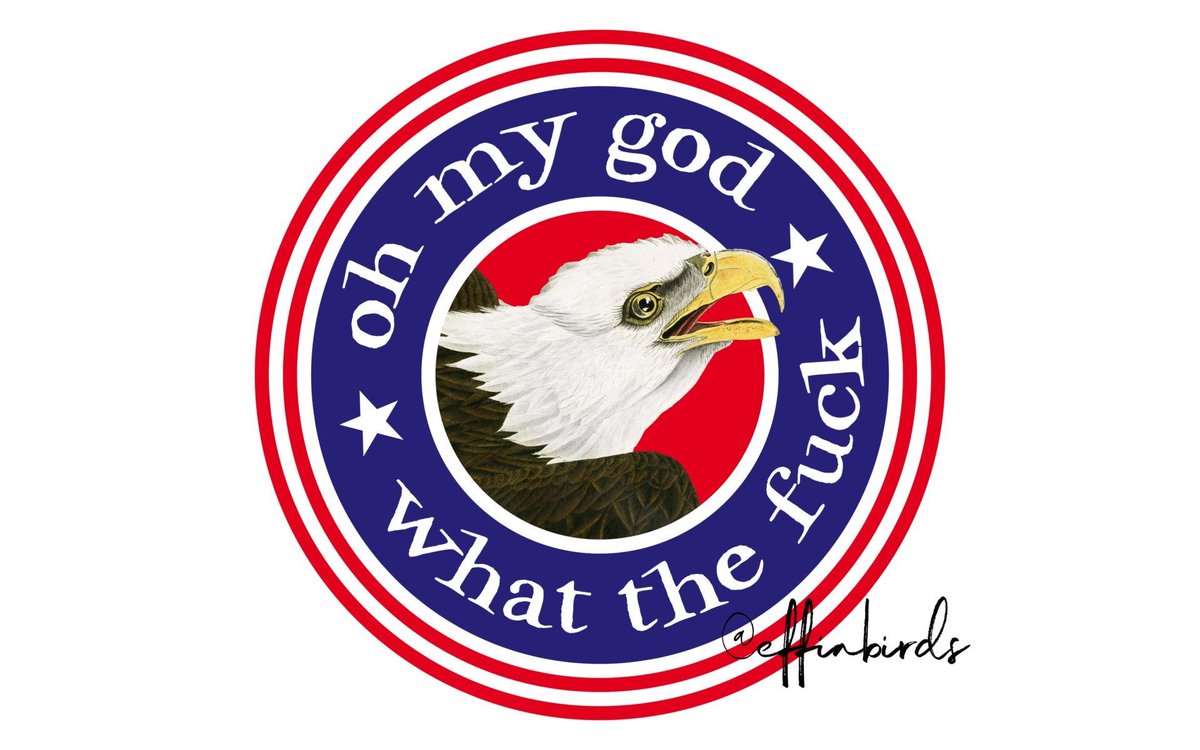 Effin' Birds (@effinbirds) on Twitter photo 