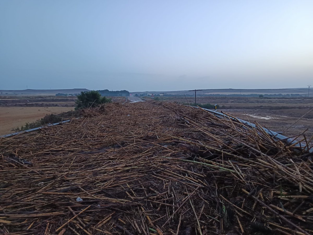 Óscar Puente tweet media