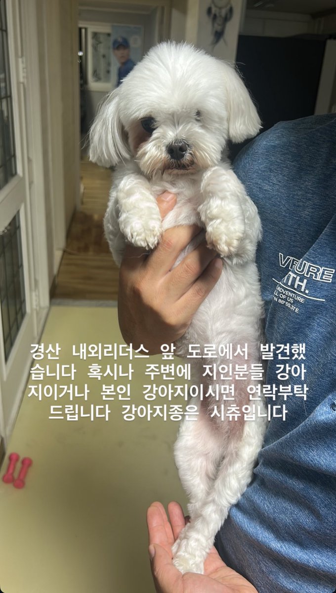 아니 영웅아 뒤에 사진뭔데요???