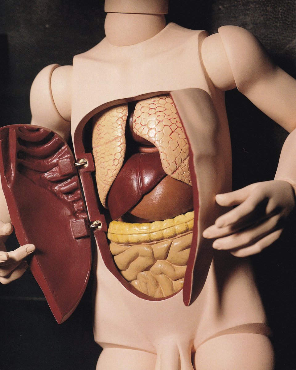 pinakotheca's tweet photo. “Anatomical Boy,” by Simon Yotsuya, early 80s. 
Scanned from “Pygmalionisme,” 2000. https://t.co/kGtFNDuago