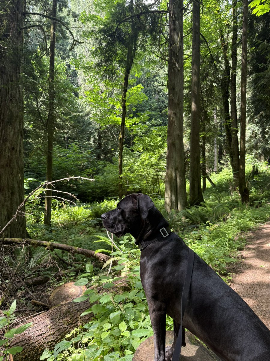 baileyyxavier's tweet photo. happy 4th to my favorite adventure buddy <3 https://t.co/W7NKrzehER