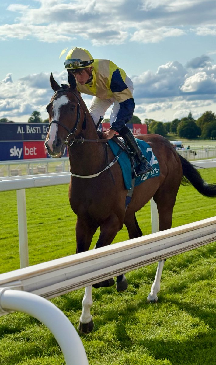 Ally ๐๐ป (@fluffypickle) on Twitter photo Another solid run and a well deserved BTO for <a href="/SportingLife/">Sporting Life Racing</a> Musical Touch in the last. Smashing horse x Another solid run and a well deserved BTO for <a href="/SportingLife/">Sporting Life Racing</a> Musical Touch in the last. Smashing horse x