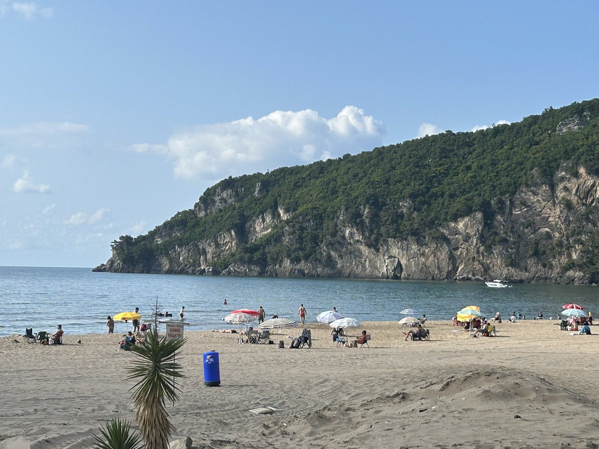 pgElephant's tweet image. #sunset #cat 🌞