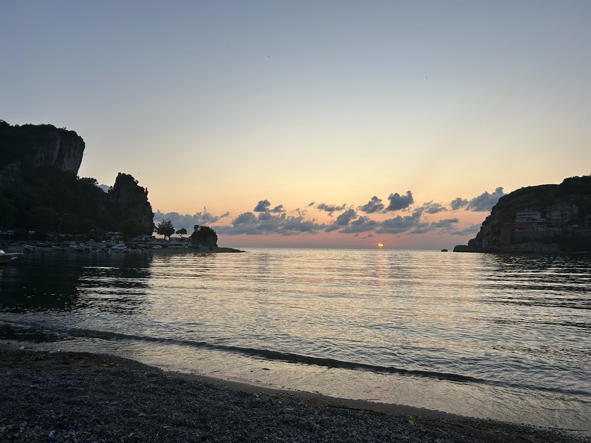 pgElephant's tweet image. #sunset #cat 🌞