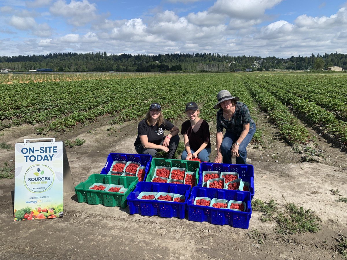 SOURCES (@sourcesbc) on Twitter photo Our Community Harvest Program connects you with trained volunteers who’ll pick your extra fruit and veggies and make sure they go to good use! If interested, please call 672-968-1479 or write to foodhub@sourcesbc.ca. For more info, please visit loom.ly/4BwyEms Our Community Harvest Program connects you with trained volunteers who’ll pick your extra fruit and veggies and make sure they go to good use! If interested, please call 672-968-1479 or write to foodhub@sourcesbc.ca. For more info, please visit loom.ly/4BwyEms