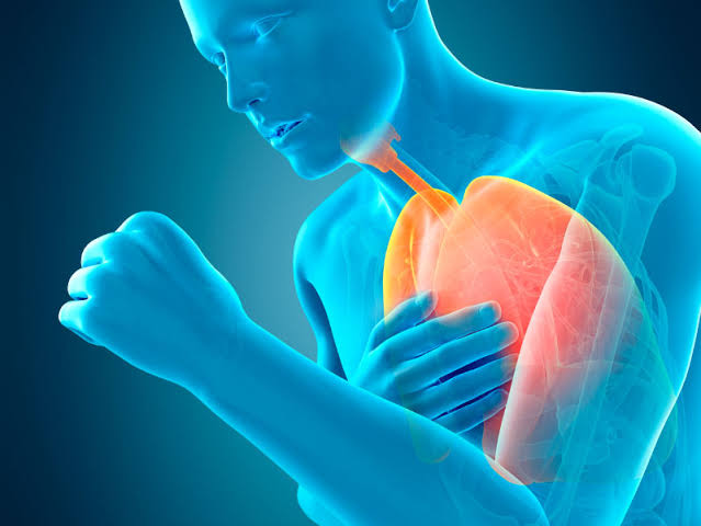 drmark_herbal's tweet photo. Heal COPD with my holistic lung disease cure! Breathe easier today. provides a groundbreaking holistic solution for COPD and lung disease using herbs and personalized care. Drop 'LUNGS' now to begin your recovery and restore your lung health naturally #COPDRelief #HolisticLungs https://t.co/skpPhRQ5RP