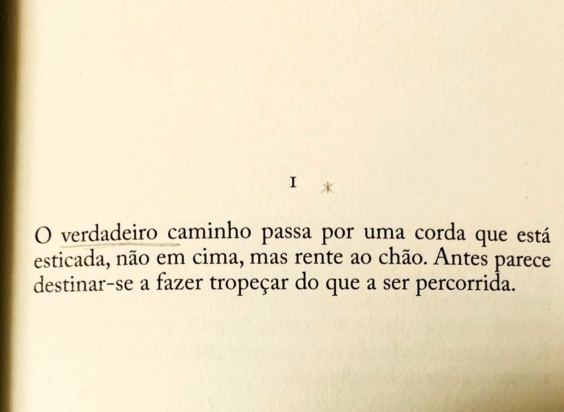Franz Kafka, CONSIDERAÇÕES SOBRE O PECADO, O SOFRIMENTO, A ESPERANÇA E O  VERDADEIRO CAMINHO, prefácio e tradução de Cristina Terra da Motta, edição  Sr. Teste, image size:1127x824