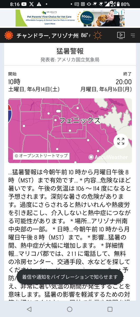 griffon_twit's tweet photo. 暑すぎるねー https://t.co/8hs8ezBlES